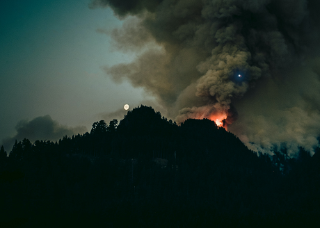 Fire AI: Product image 2