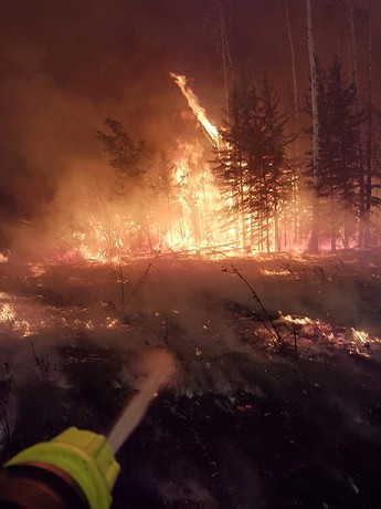 Scotty Firefighter: Product image 2