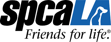 Partner of the Disaster Expo California